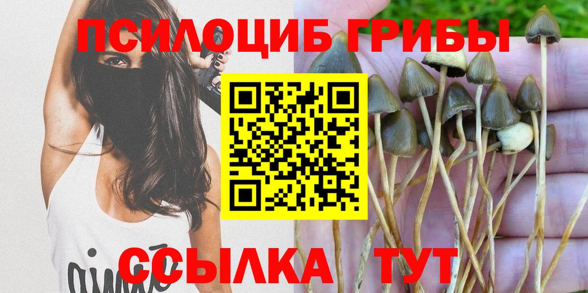 Галлюциногенные грибы GOLDEN TEACHER Реутов