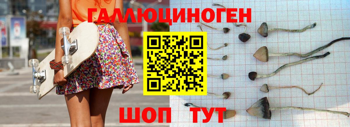 Псилоцибиновые грибы ЛСД  Вход с VPN  Реутов  Галлюциногенные грибы Psilocybine cubensis 